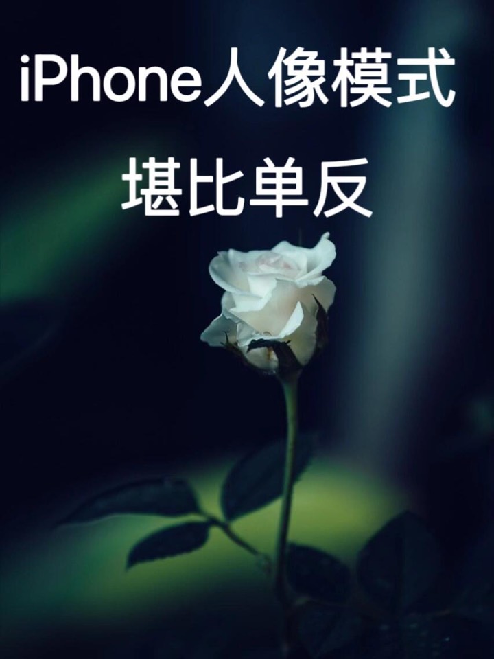 【玩机秘籍】iphone人像模式-爱乐享资源网