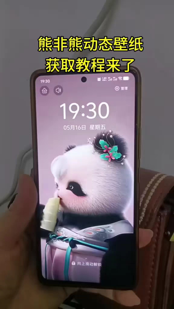 【玩机教程】小熊动态壁纸-爱乐享资源网