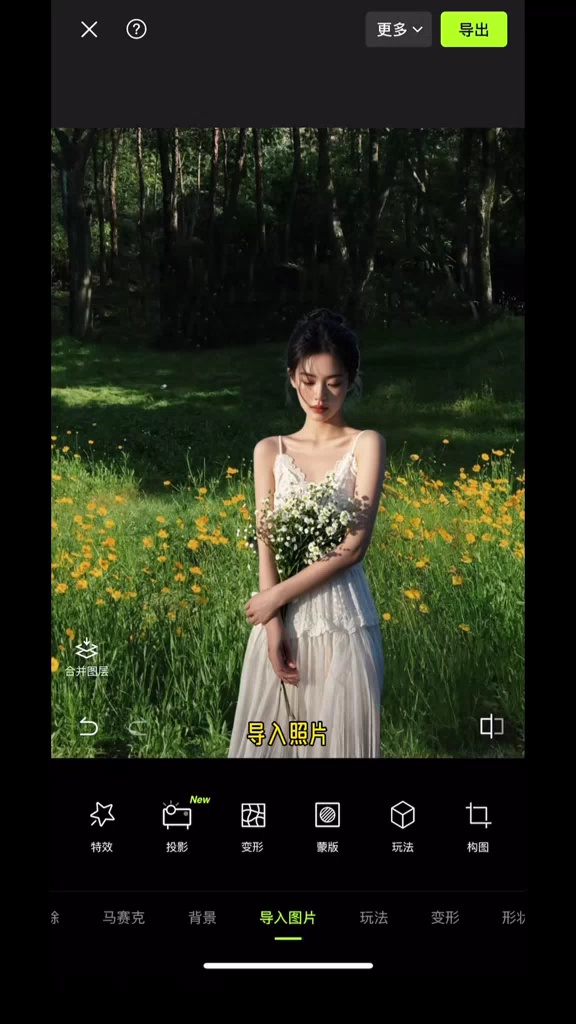 【玩机教程】海棠花-爱乐享资源网