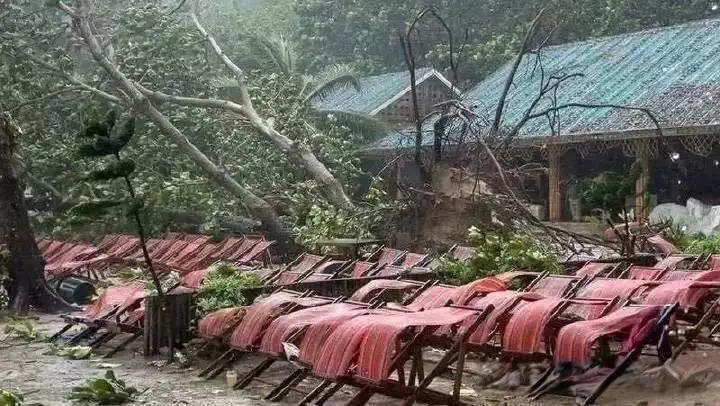 【资讯】2名中国游客身亡：53岁刚退休女子被大树砸中-爱乐享资源网