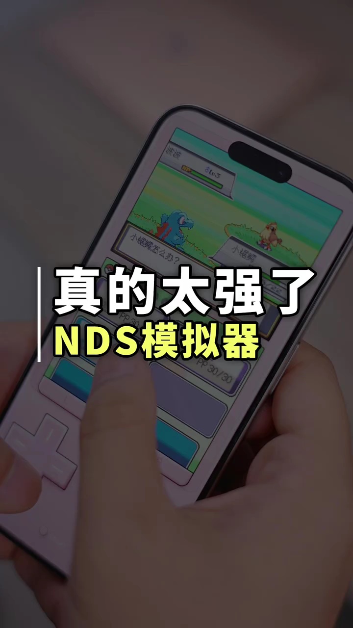 【玩机秘籍】NDS模拟器-爱乐享资源网