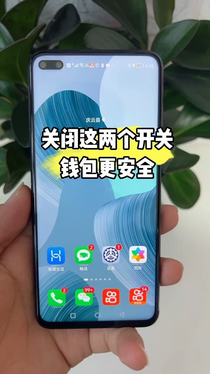 【玩机秘籍】关闭这两个开关钱包更安全-爱乐享资源网
