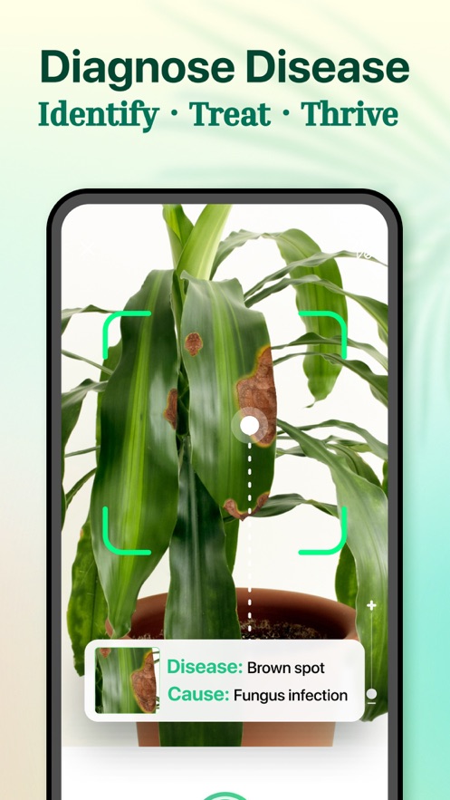 【分享】植物养护指南1.91🔥给植物看病 诊断护理知识库-爱乐享资源网
