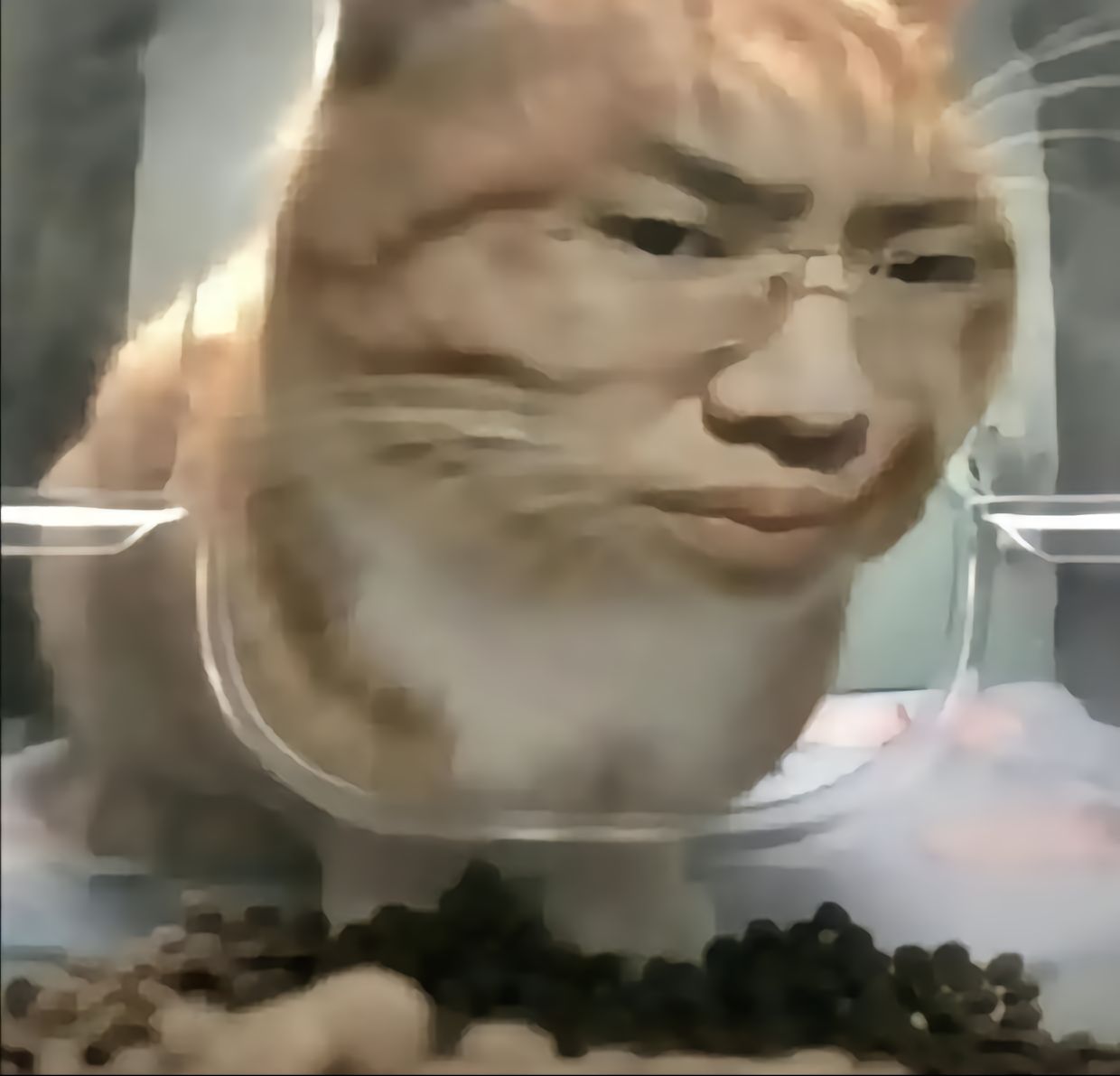 【API接口分享】随机小姐姐视频API接口-爱乐享资源网