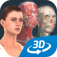 【分享】人体系统女性3D🔥详细介绍女性全身系统🔥纯净版-爱乐享资源网