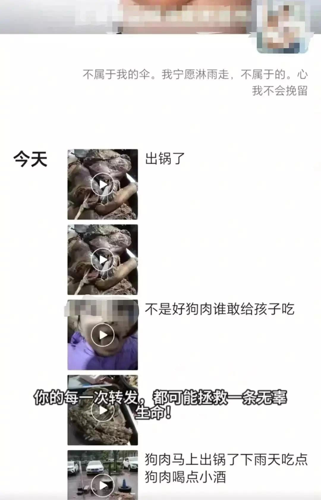 【资讯】网传沈阳一店铺老板假借领养名义烹食流浪狗，警方：此事属实-爱乐享资源网