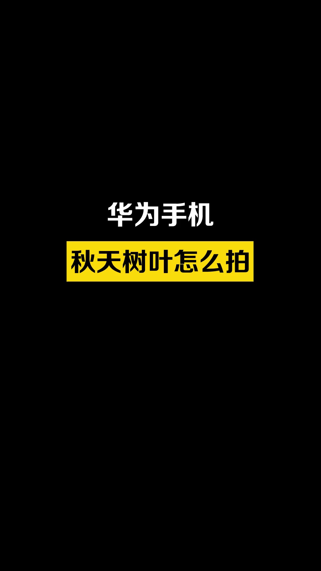 【玩机秘籍】秋天树叶这样拍，真的好美啊~这个拍照角度也太出片了！-爱乐享资源网