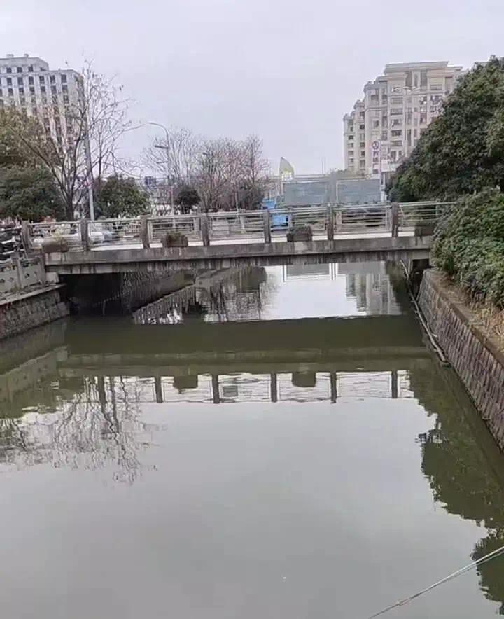 【资讯】年仅19岁！女孩跳水救人不幸遇难-爱乐享资源网
