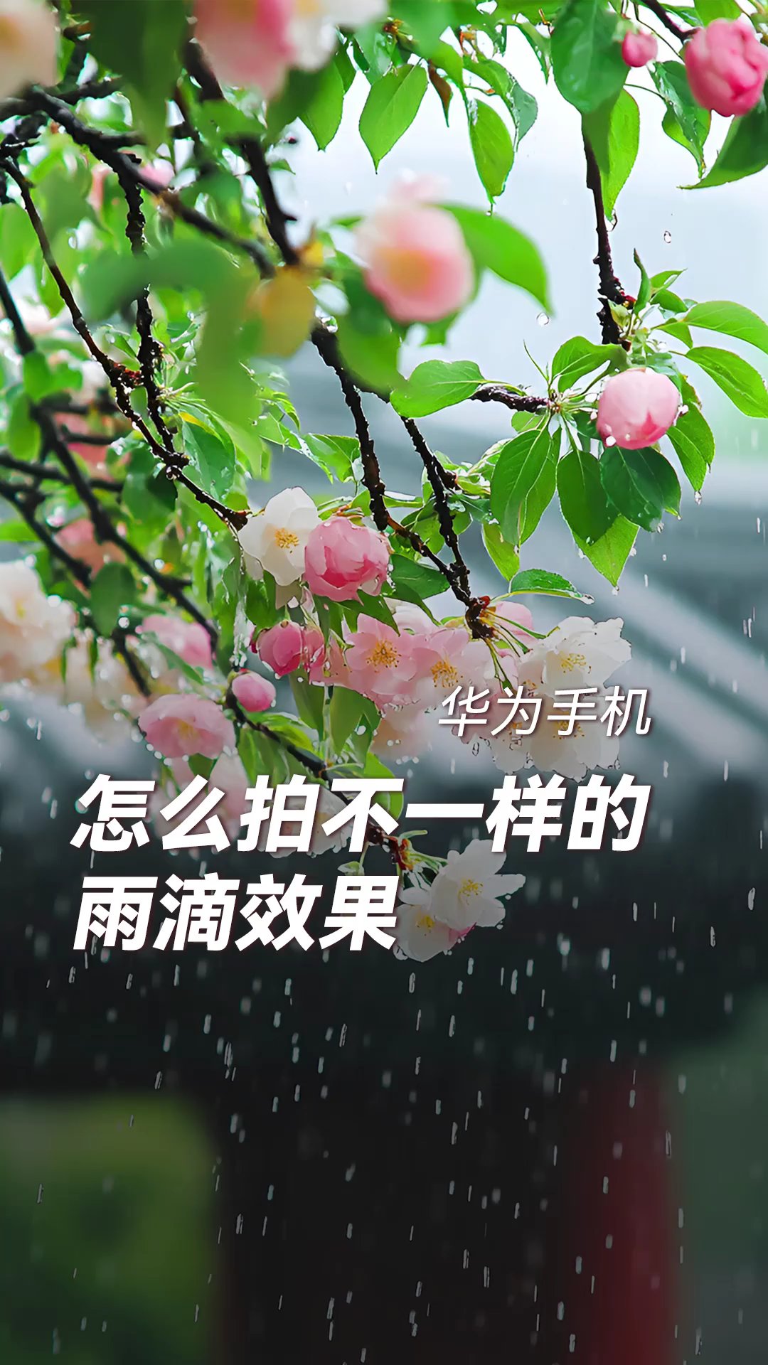 【玩机教程】春雨来啦，如何拍雨丝、雨条、雨滴，-爱乐享资源网