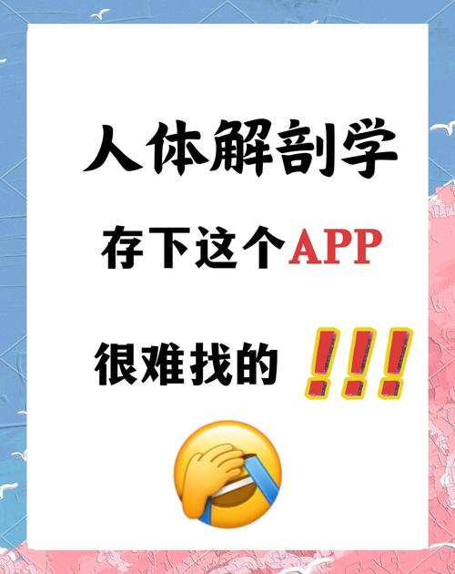 【分享】人体解剖图谱2025版🔥三维大体解剖图形🔥解剖室实操-爱乐享资源网