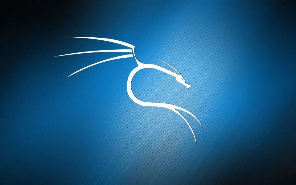 黑客必备Kali Linux系统安装教程(含系统下载)-爱乐享资源网