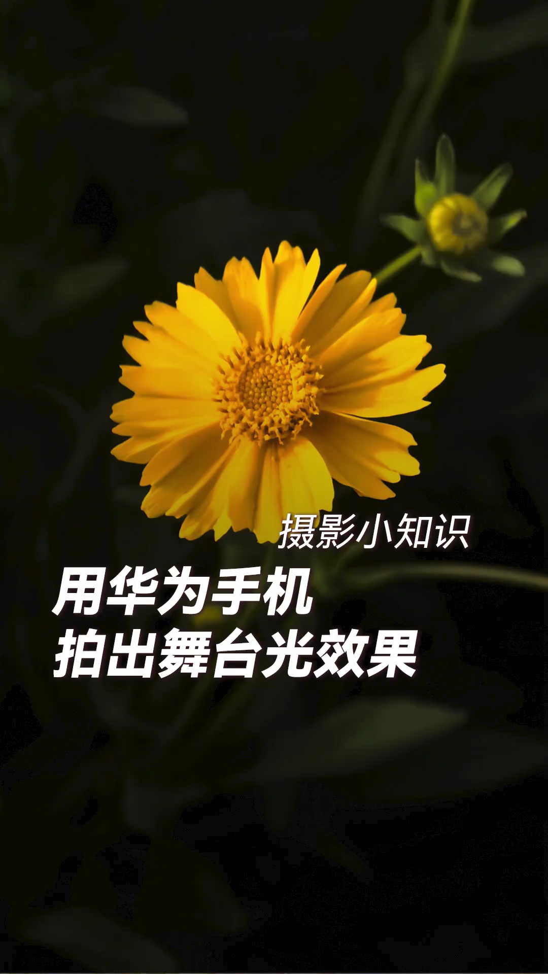 【玩机教程】用华为手机拍出舞台光效果-爱乐享资源网