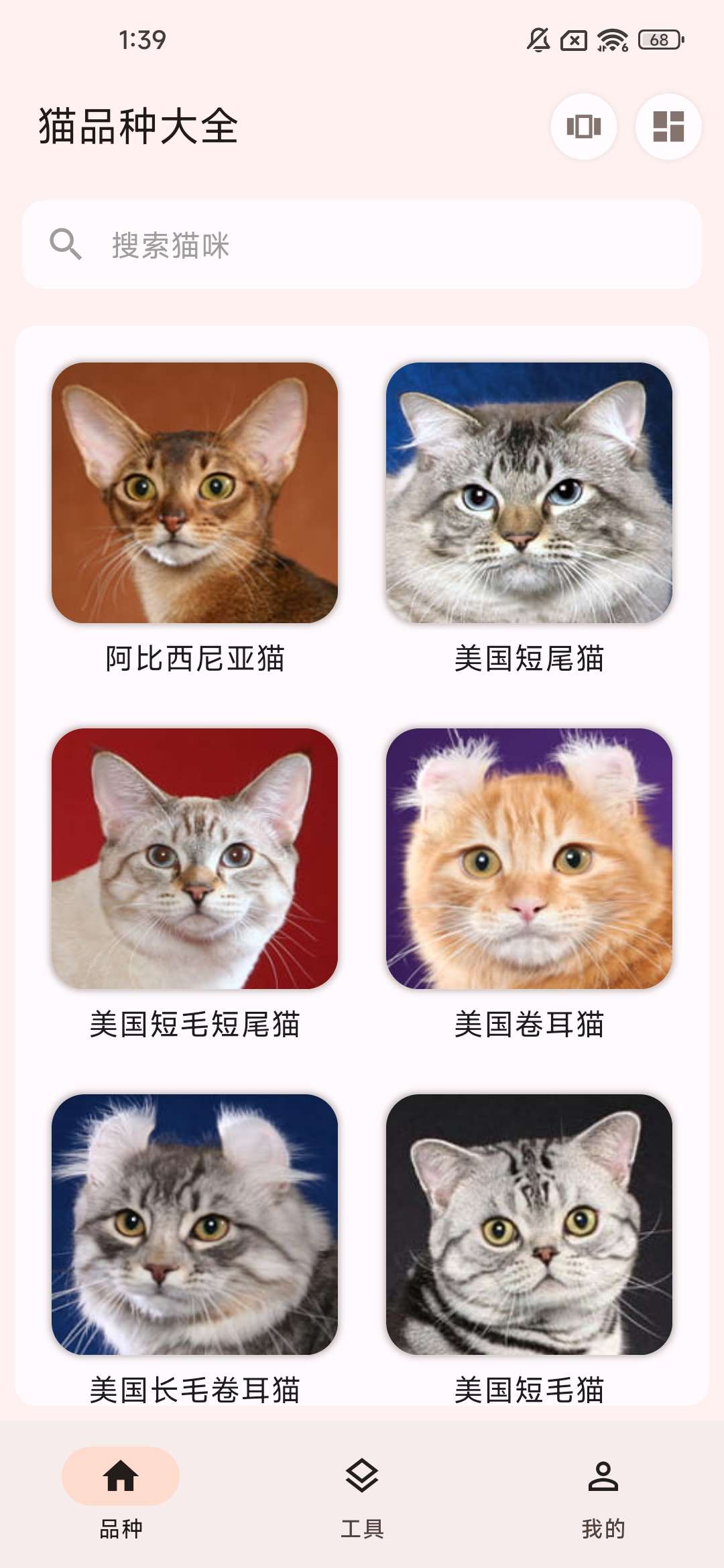 【分享】养猫必备软件🔥帮你快速了解猫咪🔥-爱乐享资源网