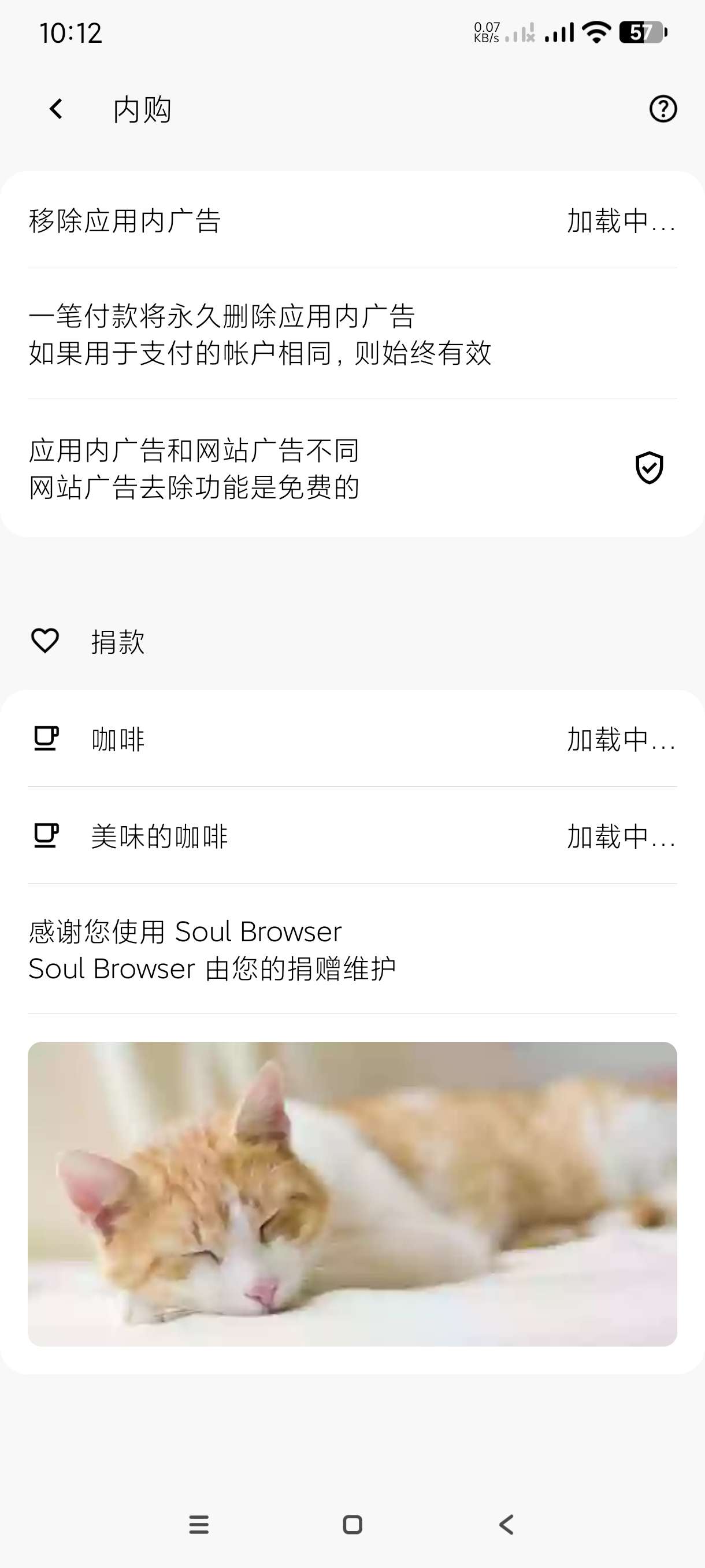 【分享】灵魂浏览器1.4.76🔥万能浏览器~支持谷歌｜网页内购-爱乐享资源网