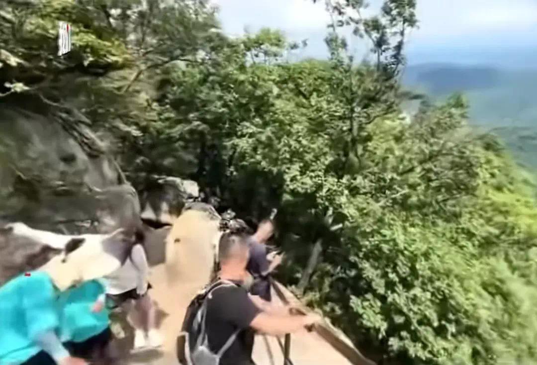 【资讯】一景区游客坠崖身亡，妻子眼睁睁看着丈夫掉下悬崖-爱乐享资源网