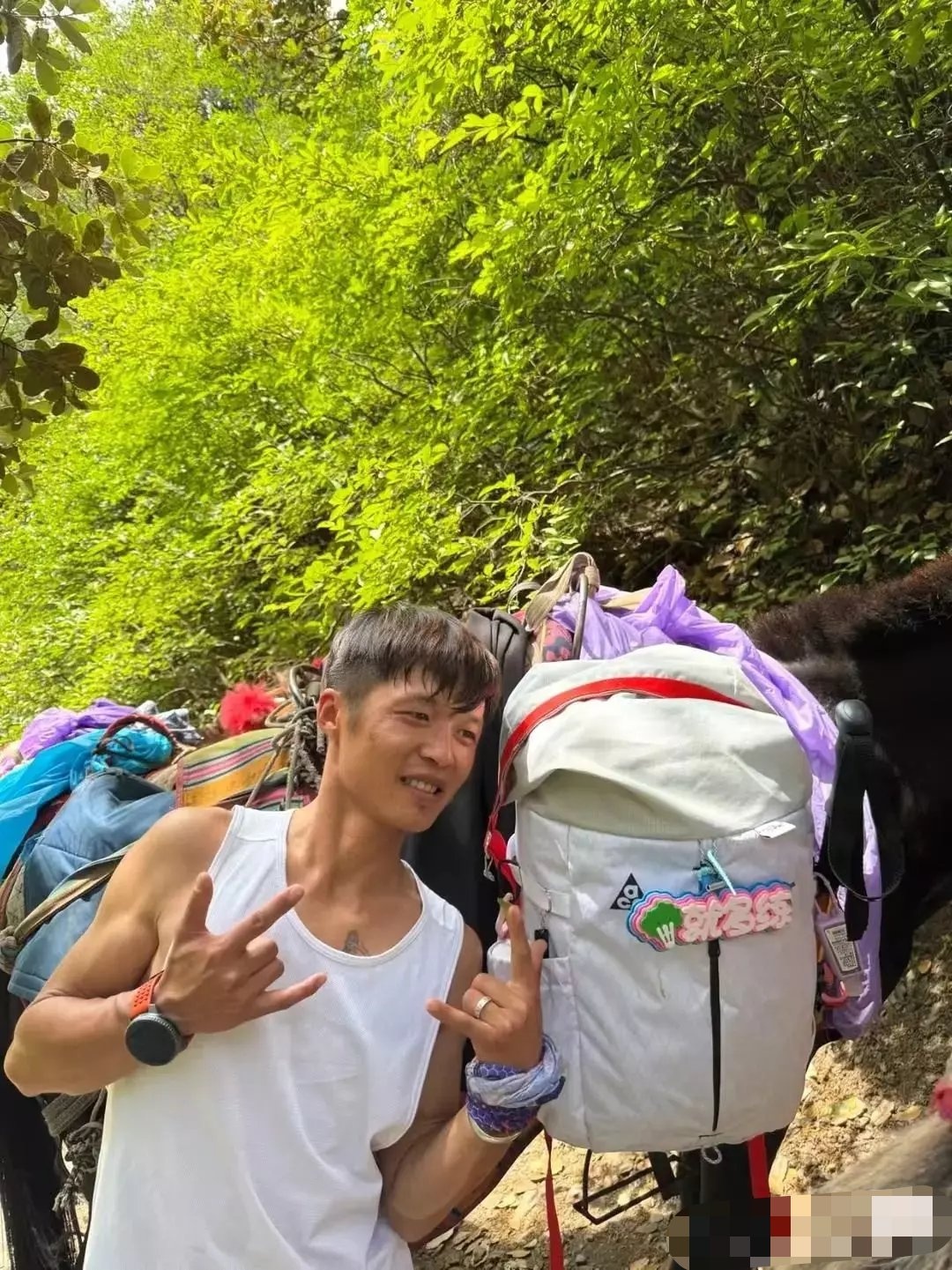 【资讯】30岁男子徒步梅里雪山环线失联近10天-爱乐享资源网