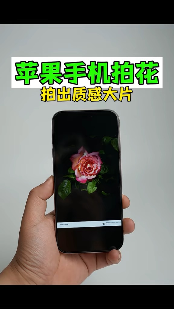 【玩机秘籍】苹果手机拍花更有质感-爱乐享资源网