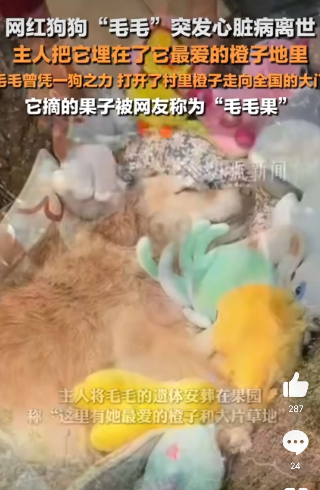 【资讯】果子管理-爱乐享资源网