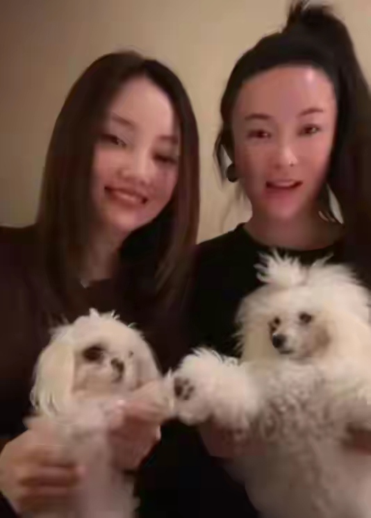 【热搜】贾乃亮李小璐罕见合体陪女儿 与杜江霍思燕一家外出游玩-爱乐享资源网