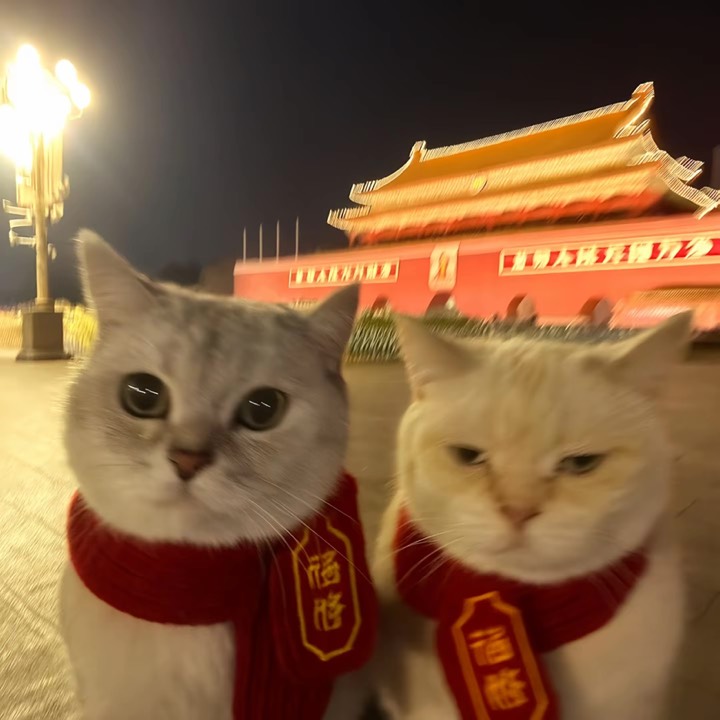 【分享】抖音 34.2.0｜证书登录新方法无水印视频解锁多玩法-爱乐享资源网