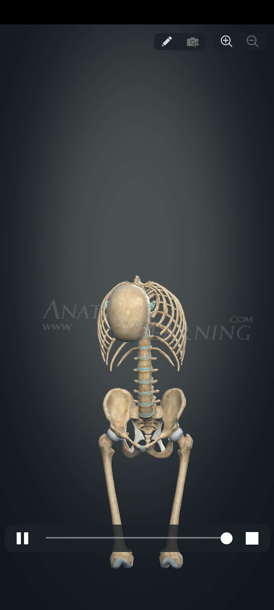 【分享】Anatomy3.1.461🔥3D人体部位学习🔥-爱乐享资源网