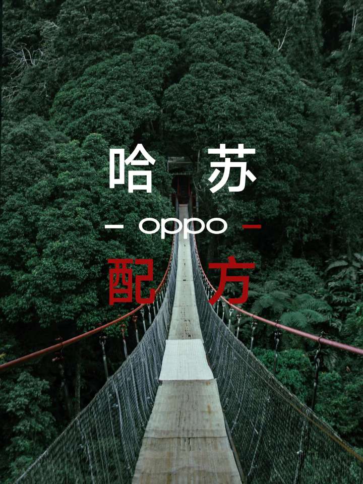 【玩机技巧】哈苏配方-爱乐享资源网