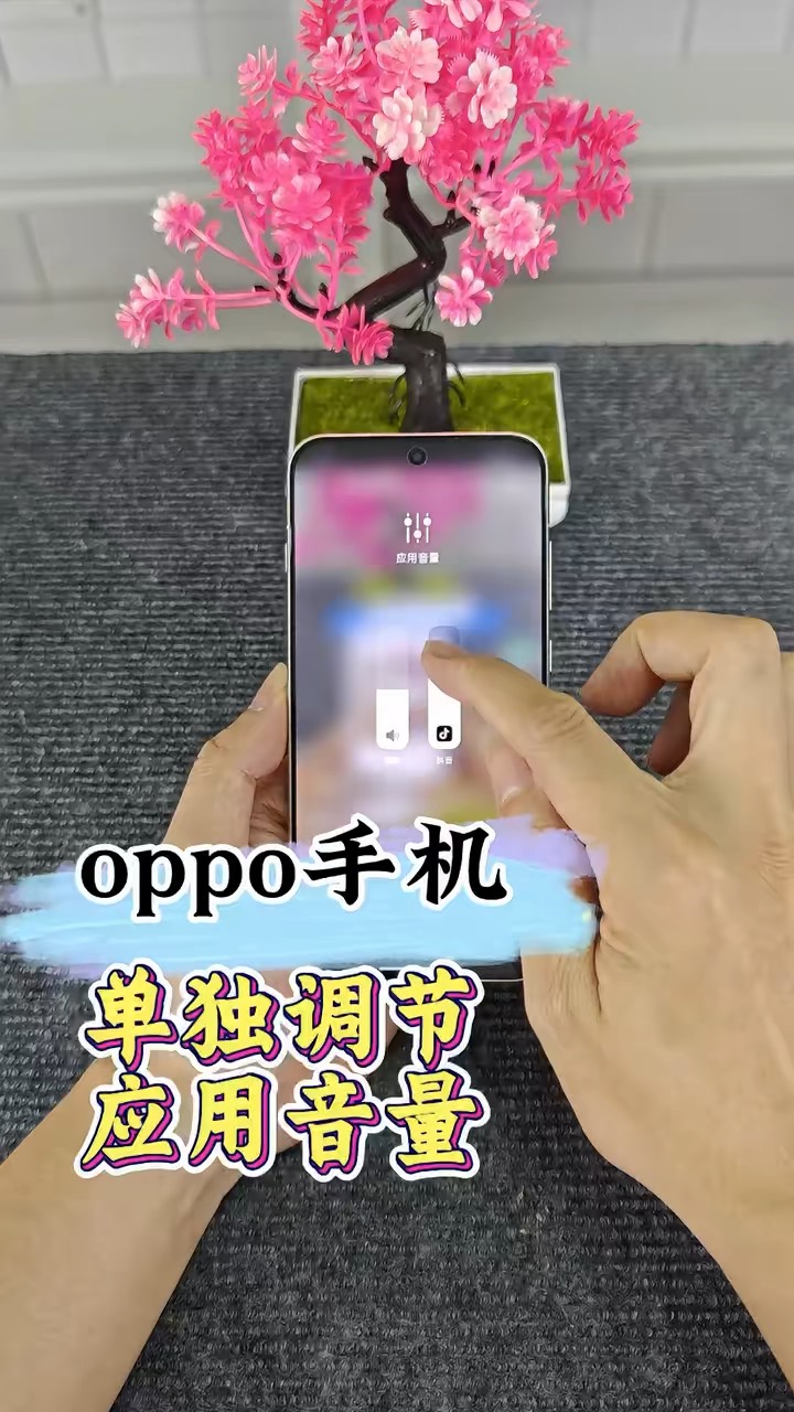 【玩机秘籍】oppo区域单独录屏-爱乐享资源网